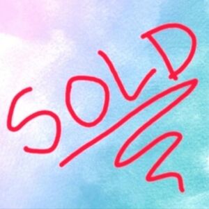 LISTING IS SOLD IN BUNDLE NOW